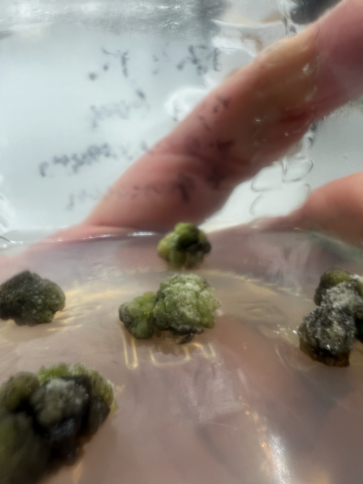 Эксперименты #8, #9, #10. ВНИИСБ | Сетка — социальная сеть от hh.ru