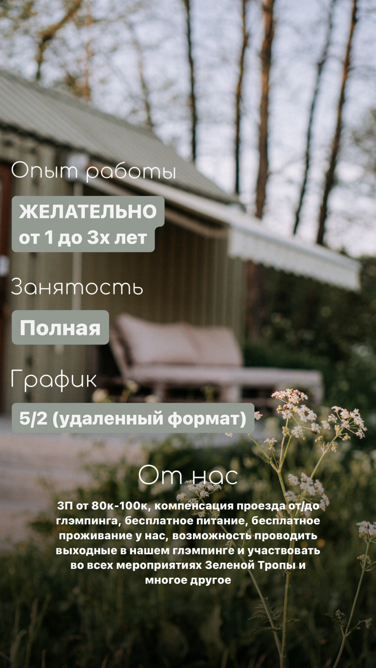 📌Открыта вакансия главного бухгалтера 🧮 | Сетка — социальная сеть от hh.ru