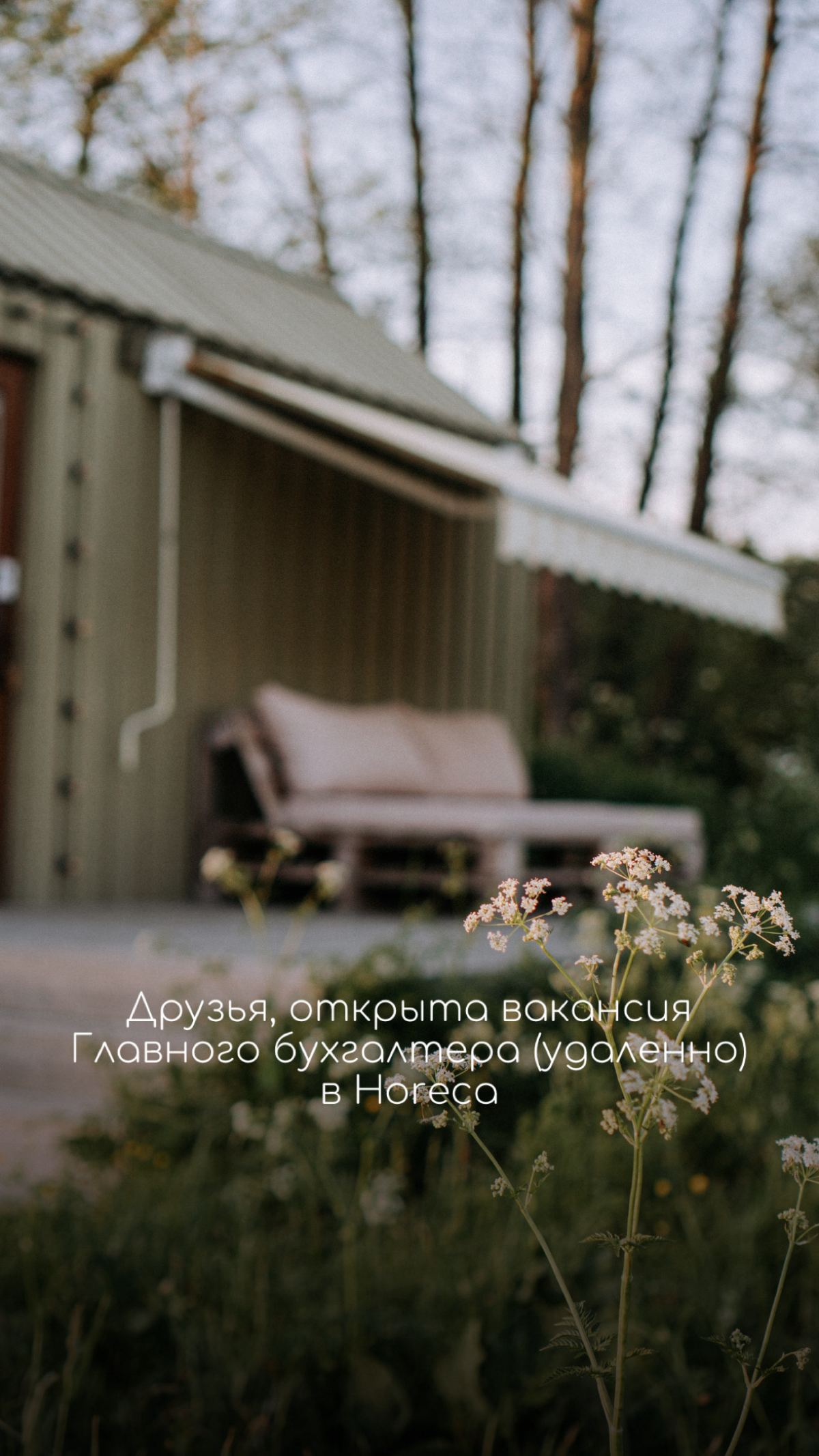 📌Открыта вакансия главного бухгалтера 🧮 | Сетка — социальная сеть от hh.ru