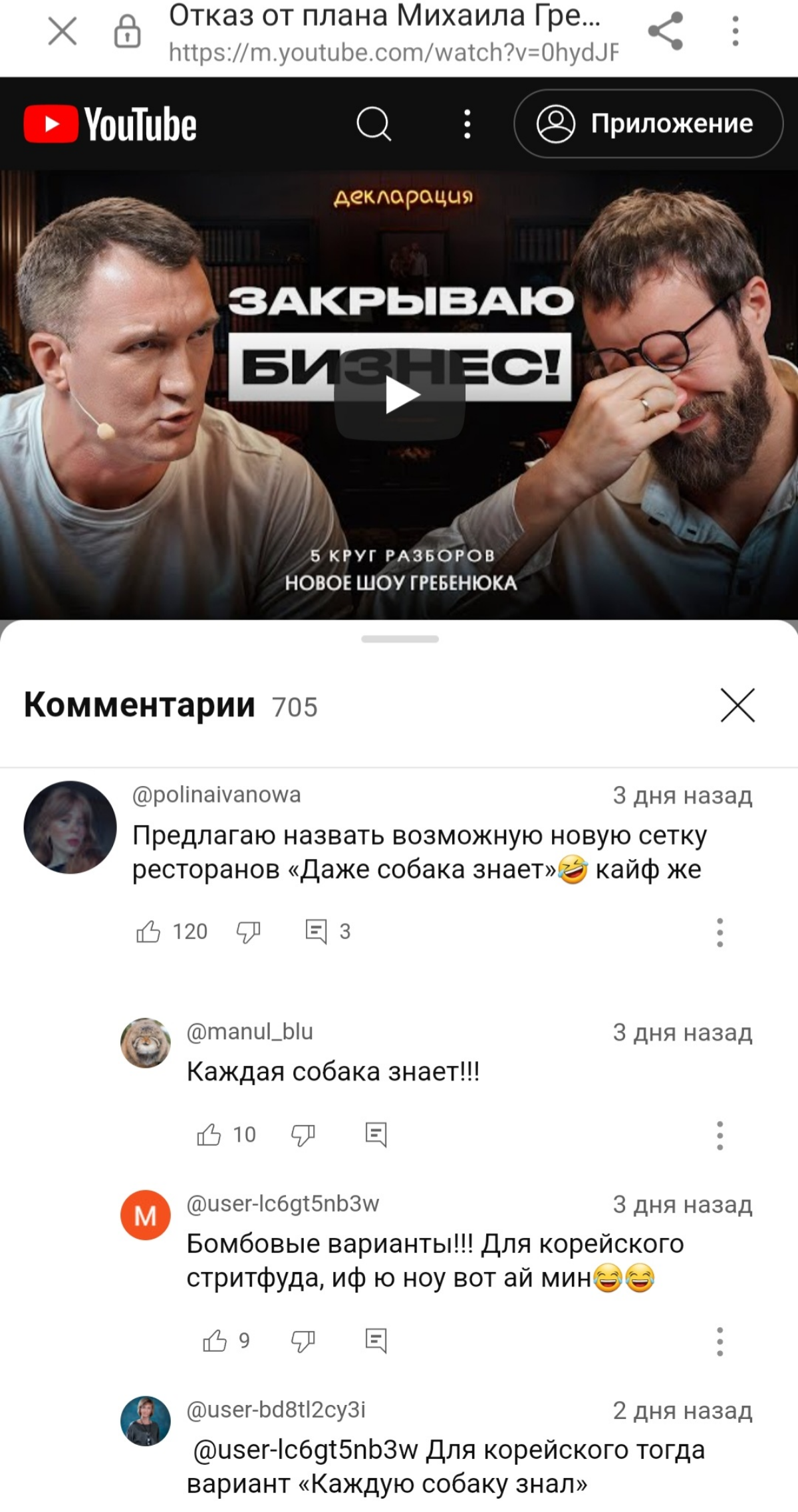 Каждая собака знает😁 | Сетка — социальная сеть от hh.ru
