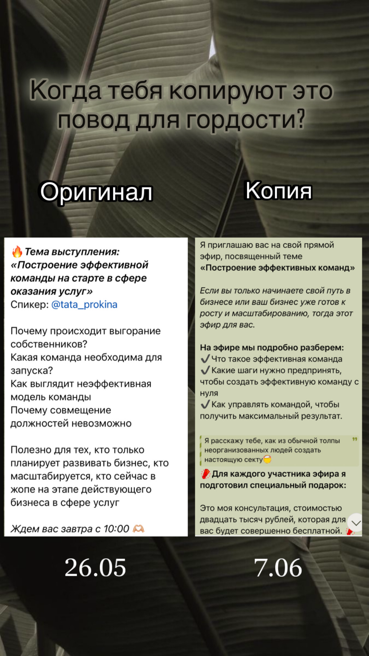 Случился первый в моей карьере копипаст. При том, ещё и от клиента (не самого лучшего). | Сетка — социальная сеть от hh.ru