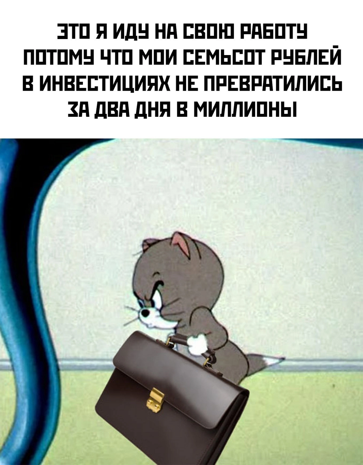 Коротко о курсах у инфоцыган😀 | Сетка — социальная сеть от hh.ru