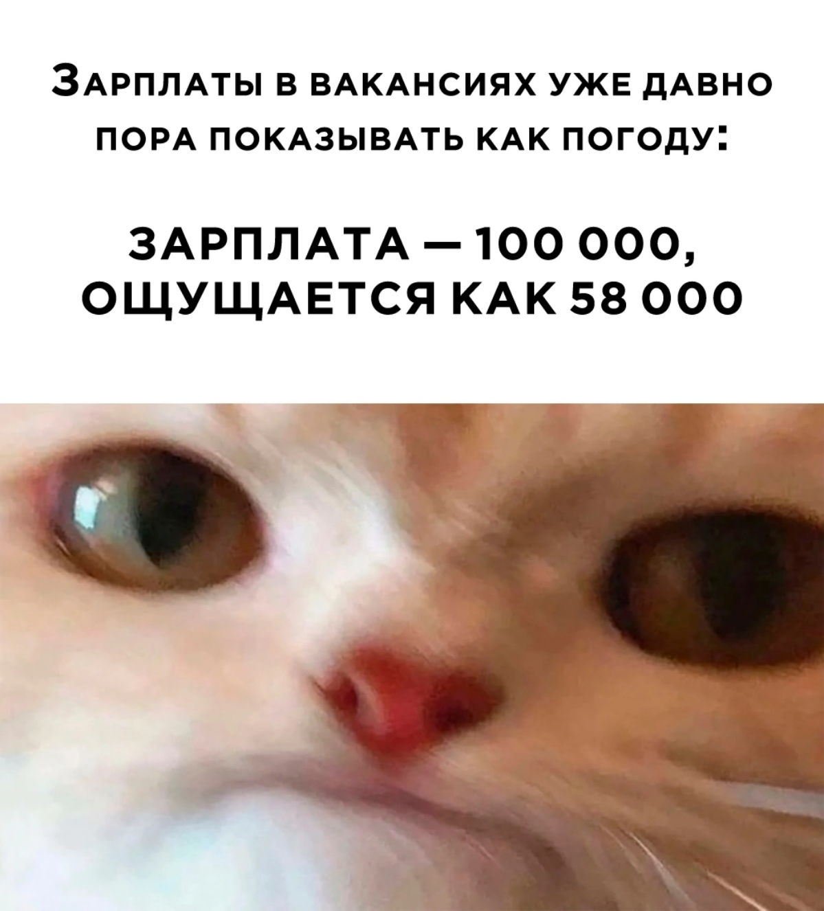 Коротко о зарплатах😀 | Сетка — социальная сеть от hh.ru