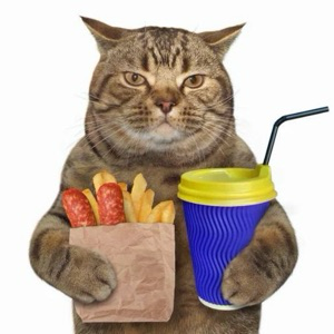 Ломов Даниил | Сетка — социальная сеть от hh.ru