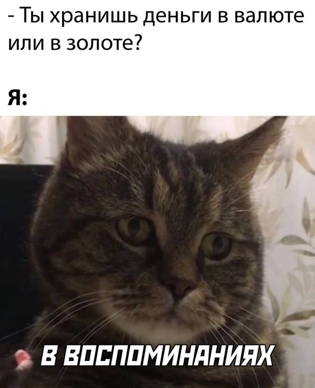 Коротко об экономике😀 | Сетка — социальная сеть от hh.ru