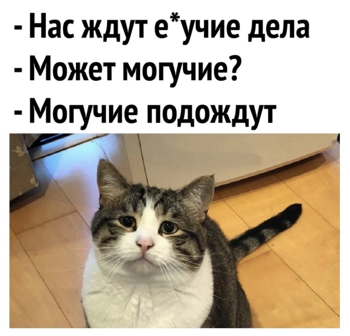 Когда только пришёл на работу 😀 | Сетка — социальная сеть от hh.ru