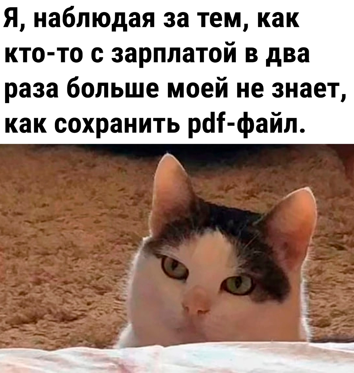 Коротко о людях "по блату"😀 | Сетка — социальная сеть от hh.ru