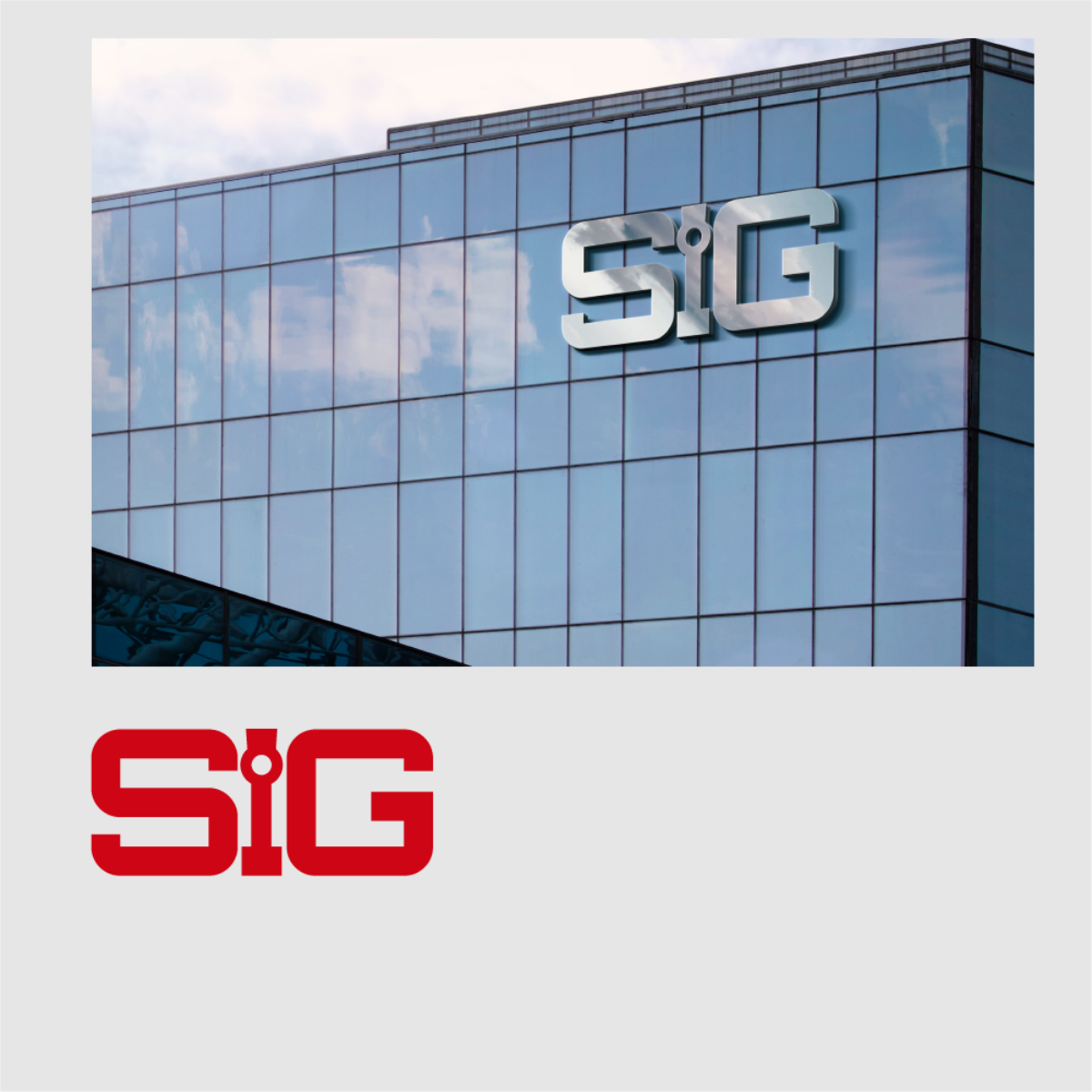 Наталья Городничева