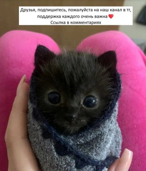 Сетка — социальная сеть от hh.ru