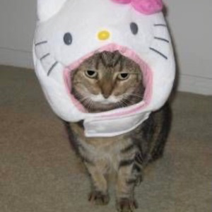 Асель Аскаткызы | Сетка — социальная сеть от hh.ru