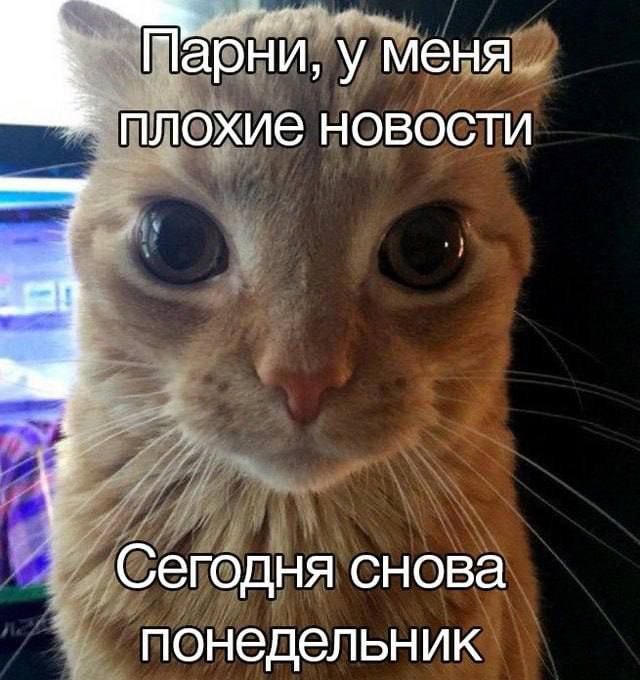 Опять... | Сетка — социальная сеть от hh.ru