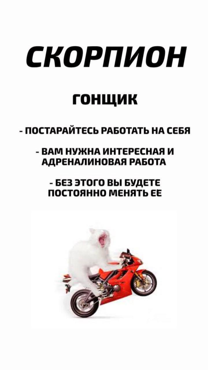 Узнай профессию по знаку зодиака.
@kusok\digital | Сетка — социальная сеть от hh.ru