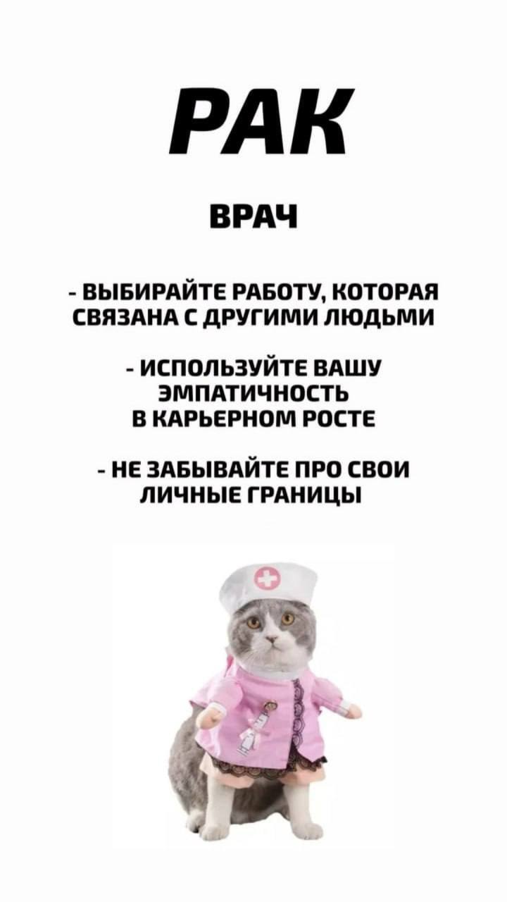 Узнай профессию по знаку зодиака.
@kusok\digital | Сетка — социальная сеть от hh.ru