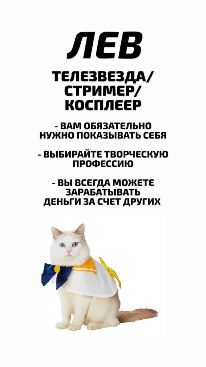 Узнай профессию по знаку зодиака.
@kusok\digital | Сетка — социальная сеть от hh.ru