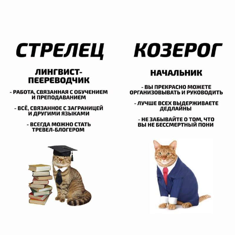 Узнай профессию по знаку зодиака.
@kusok\digital | Сетка — социальная сеть от hh.ru