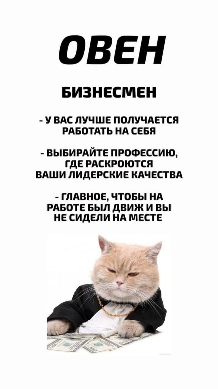 Узнай профессию по знаку зодиака.
@kusok\digital | Сетка — социальная сеть от hh.ru