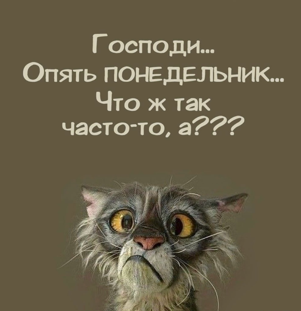 «Синдром понедельника» и как с ним бороться
Синдром понедельника – это состояние, которое многие из нас испытывают в начале рабочей недели | Сетка — социальная сеть от hh.ru