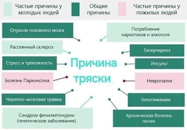 Перейдем более детально к самому плану из прошлого поста. Есть три варианта как выйти на такой заработок | Сетка — социальная сеть от hh.ru