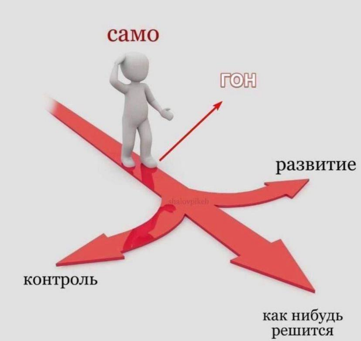 Муки выбора 😅
#саморазвитие | Сетка — социальная сеть от hh.ru