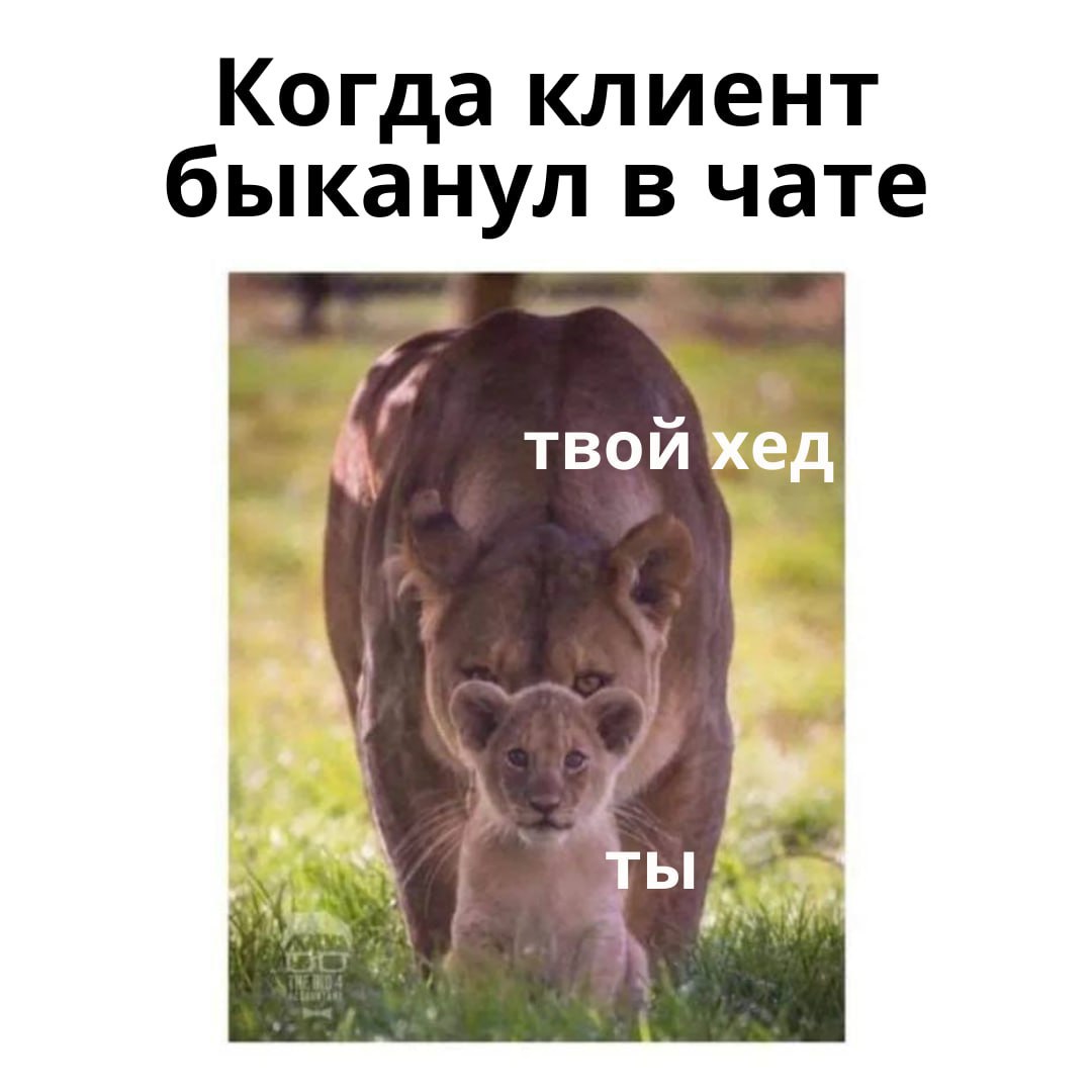 Напоминаю базу | Сетка — социальная сеть от hh.ru