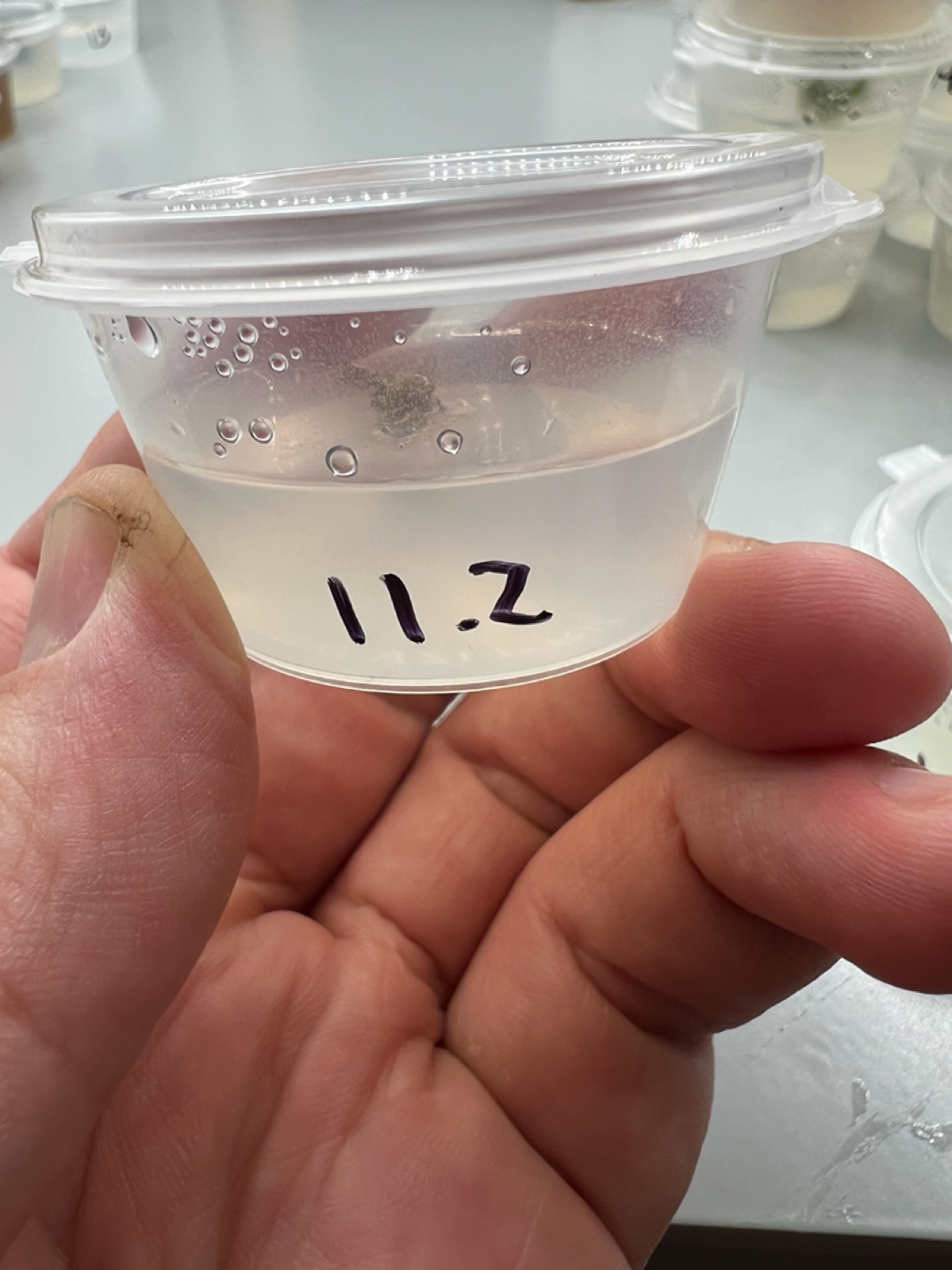 Эксперимент #11. Пересадка | Сетка — социальная сеть от hh.ru