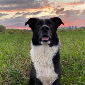 Ангелина Гобой | Сетка — социальная сеть от hh.ru