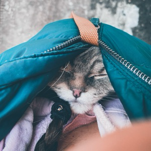 Виктория Фролова | Сетка — социальная сеть от hh.ru