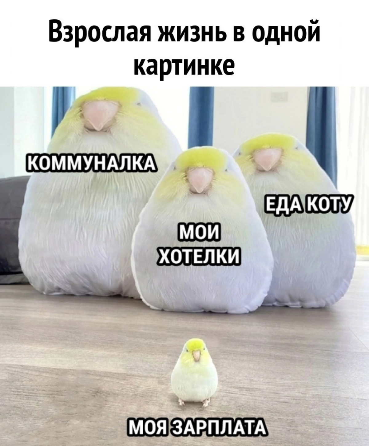 Коротко о взрослой жизни😀 | Сетка — социальная сеть от hh.ru