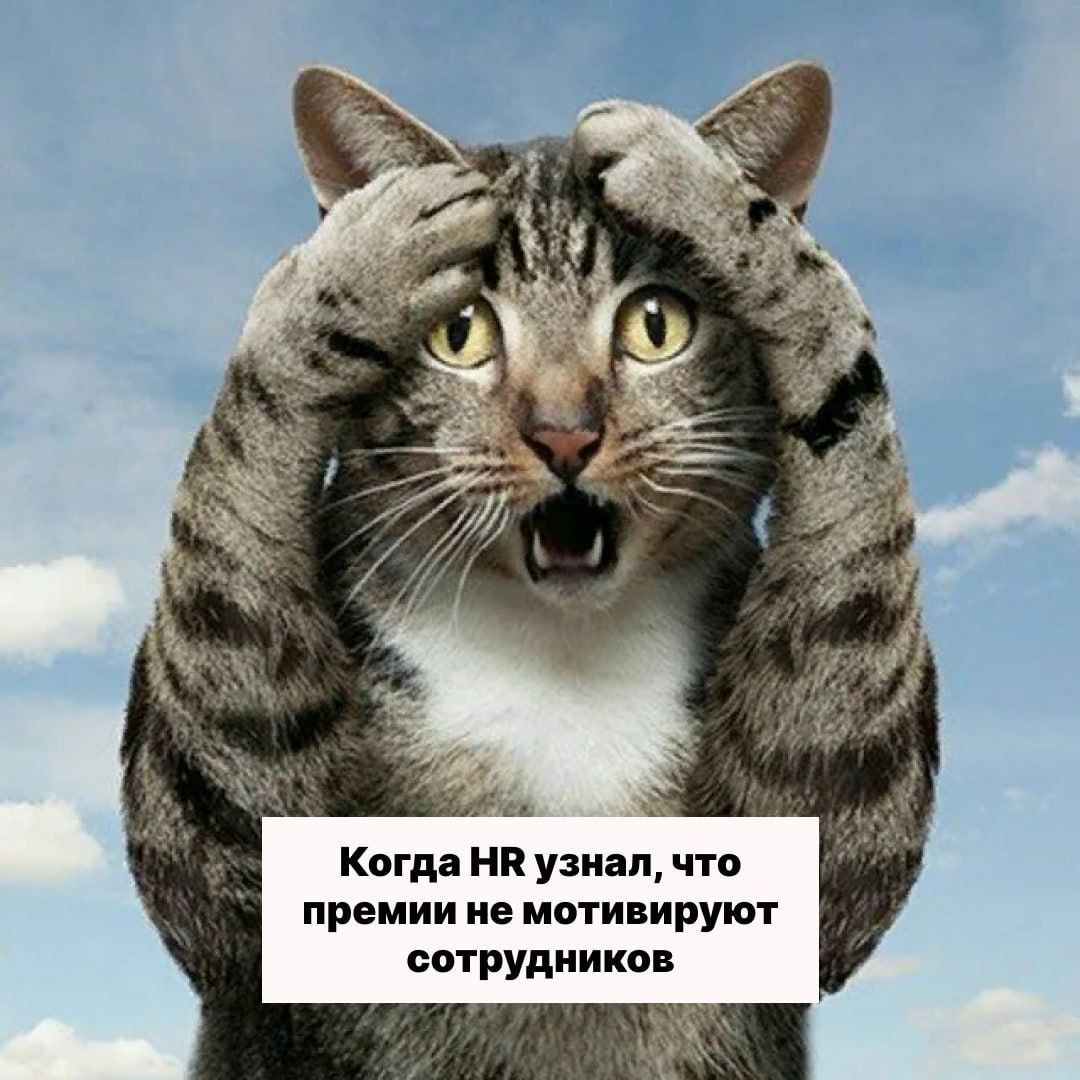 Эйчары, обновите свой соцпакет! Сильным соискателям уже давно нужен не только ДМС 😲
Если хотите, чтобы новые кандидаты откликались чаще, а сотрудники реже выгорали и меньше сидели на hh | Сетка — социальная сеть от hh.ru