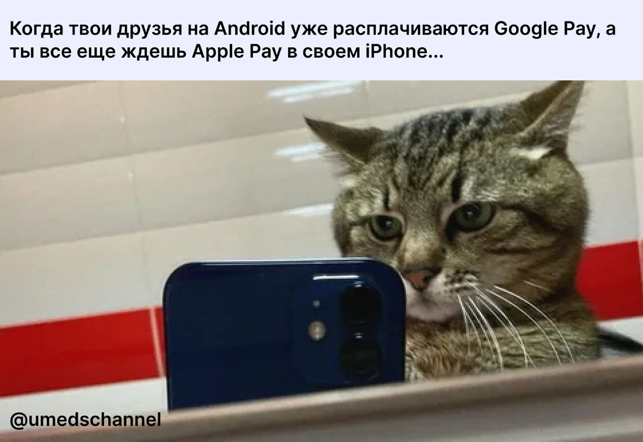 Актуально в Таджикистане 
@umedschannel 
#мем #алиф #таджикистан | Сетка — социальная сеть от hh.ru