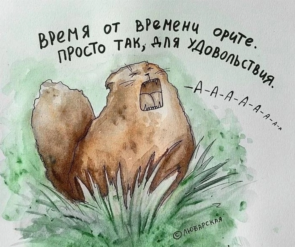#смехотерапия
#журналопсихологии
#Психология
Больше полезной и интересной информации в онлайн - журнале «Практическая психология»
https://t | Сетка — социальная сеть от hh.ru