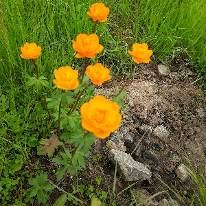 Наталия Светобаченко