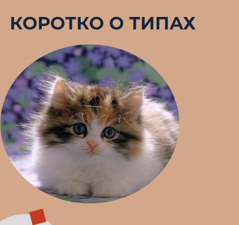 Всем привет! На связи Люба Дружинина, co-founder Розетки⚡️
Предлагаю подглядеть за нашей подготовкой к Нетворкингу без границ | Сетка — социальная сеть от hh.ru