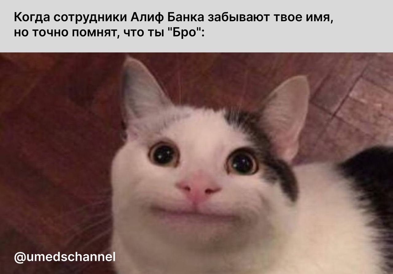 Бро, этот мем чисто в связи с недавним спором в комментариях... и только.
@umedschannel 
#алиф #мем #таджикистан | Сетка — социальная сеть от hh.ru