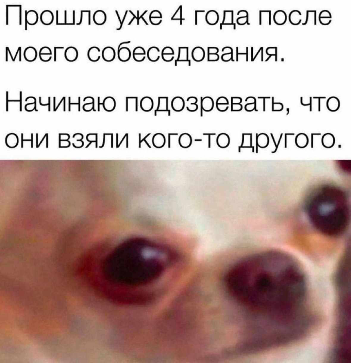 #Мем
Сетка - HR Мемы by RFF
Telegram - HR Мемы | Сетка — социальная сеть от hh.ru