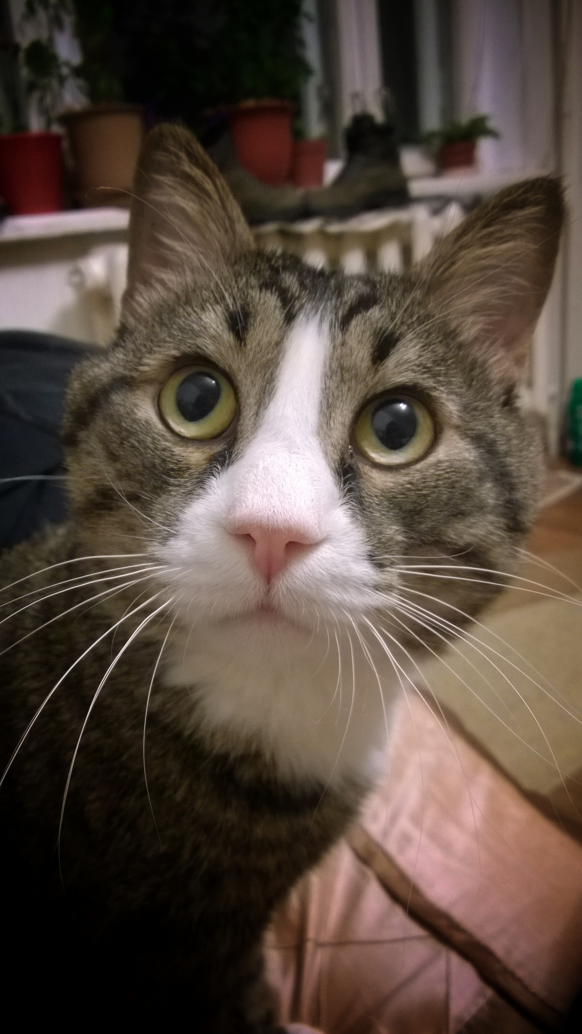 Будем посмотреть? | Сетка — социальная сеть от hh.ru