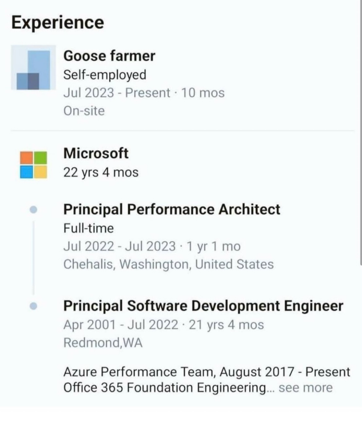 Мужчина более 20 лет работал в Microsoft, а в июле 2023 года решил, что хватит. И пошел на ферму разводить гусей.
А чем бы вы занялись, если бы надоела сфера деятельности? | Сетка — социальная сеть от hh.ru