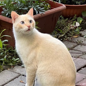 Виктор Ревякин | Сетка — социальная сеть от hh.ru