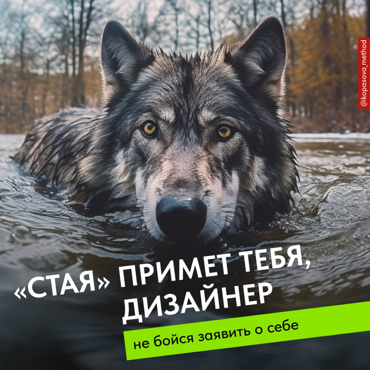 «Стая» примет тебя, дизайнер | Сетка — социальная сеть от hh.ru