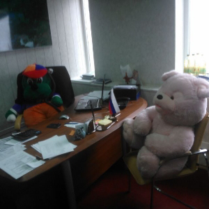 Жизнестори