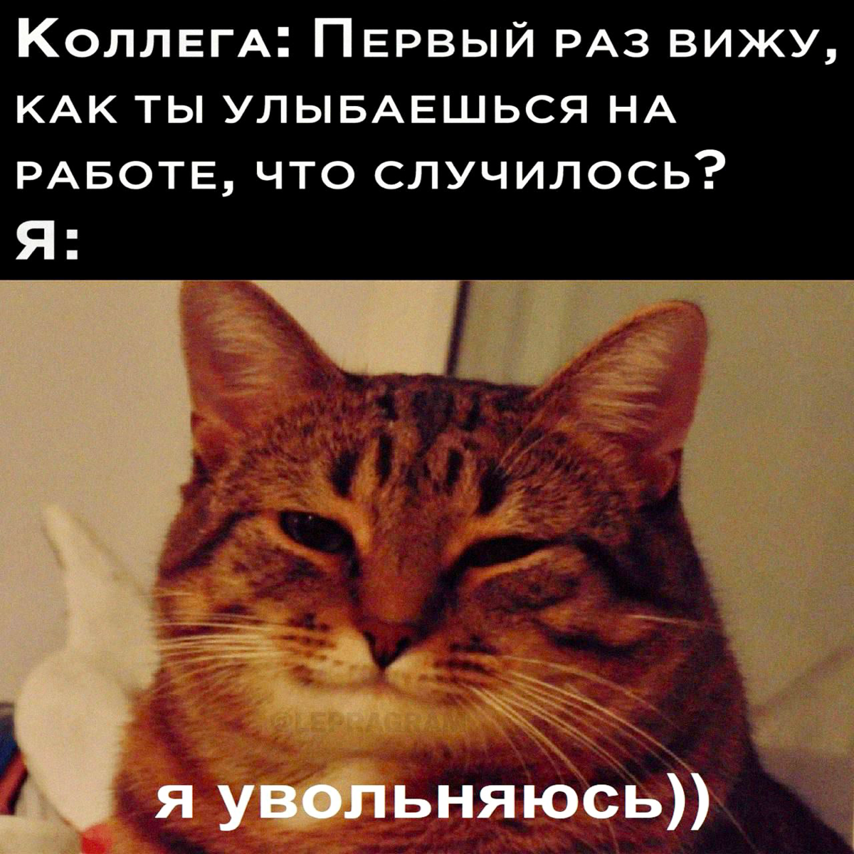 Как уволиться красиво!? 💼✨ | Сетка — социальная сеть от hh.ru