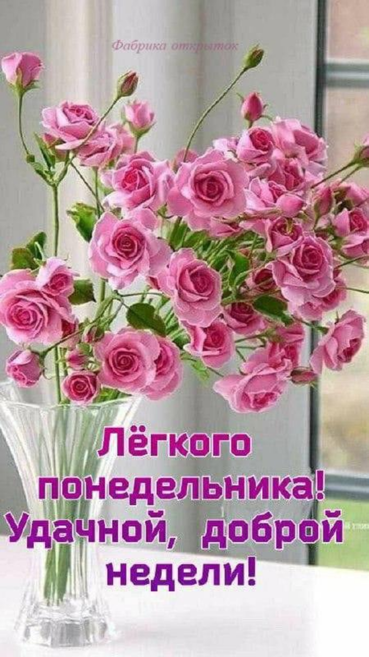 Да благословят боги этот прекрасный мир!
Хорошего понедельника, коллеги! 🕊️🙏💪💪💪💪💪 | Сетка — социальная сеть от hh.ru