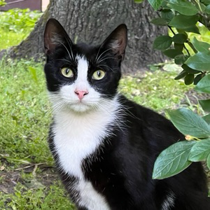 Владислав Фоминых