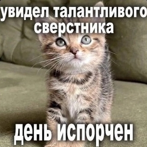 отчаявшийся зубер