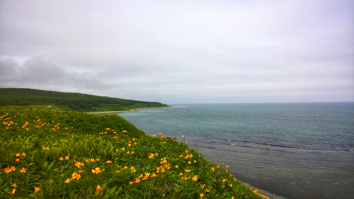 Душновато здесь, народа много, пора на море! | Сетка — социальная сеть от hh.ru