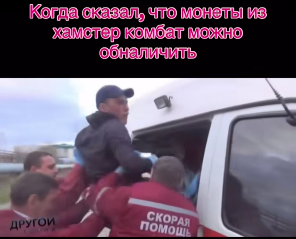 Просто #хомяк | Сетка — социальная сеть от hh.ru