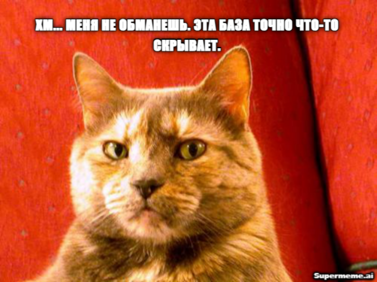 Как-то коллега из другого отдела сказала "База лежит не ровно", это не могло не стать мемом.. | Сетка — социальная сеть от hh.ru