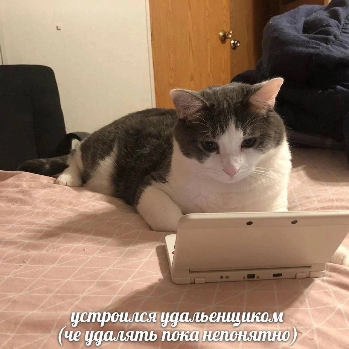 #мемы #работа #удаленка #копилочка
Товарищи, кидайте в комменты любимые рабочие мемы 🤝
Я начну | Сетка — социальная сеть от hh.ru