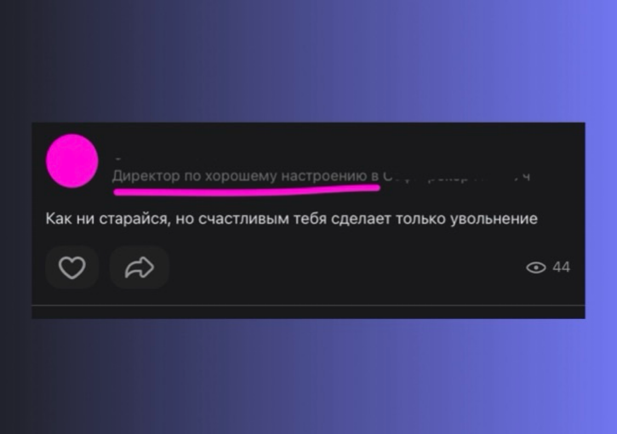 Директор знает толк в хорошем настроении 🤣 | Сетка — социальная сеть от hh.ru