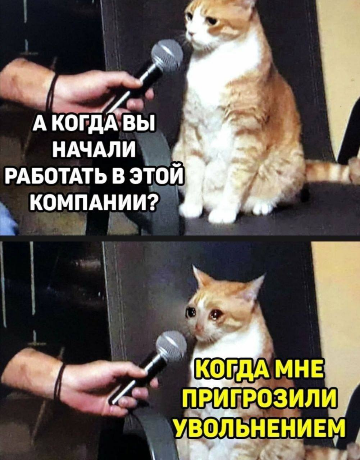 Какие «НЕСТАНДАРТНЫЕ» инструменты повышения мотивации вы встречали в своей практике? | Сетка — социальная сеть от hh.ru